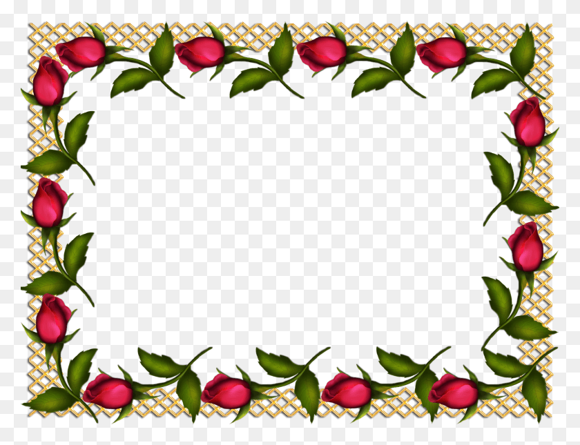 1600x1200 Moldura Flor Com Flores Rosa Grafico Ponto Cruz Da Priscila Junqueira, Rose, Flower, Plant HD PNG Download