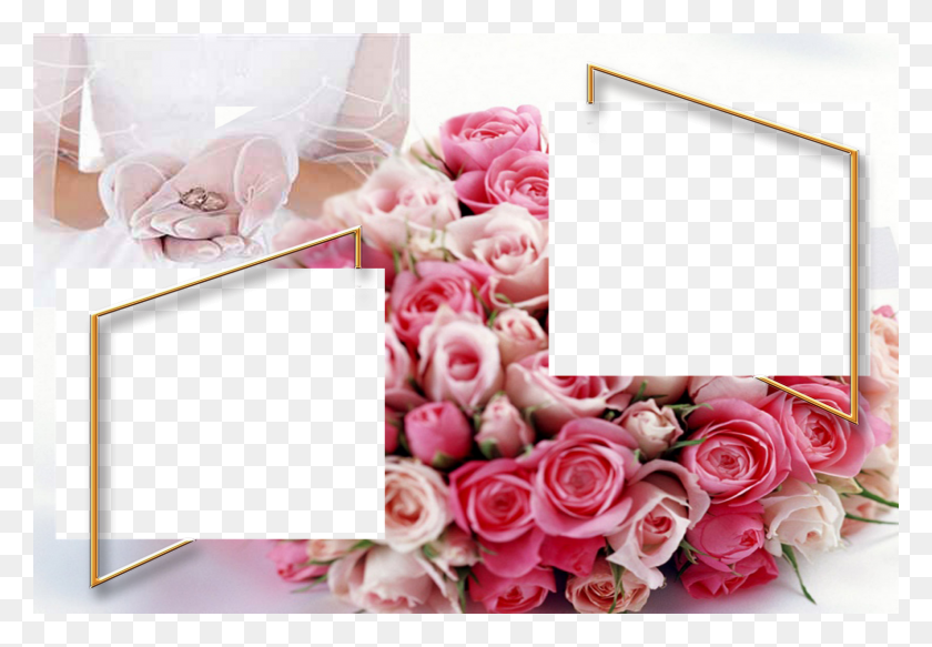 1600x1074 Moldura Romntica Bol Do Na Zara Dil Mein Hai Jo Chupa, Rose, Flower, Plant HD PNG Download