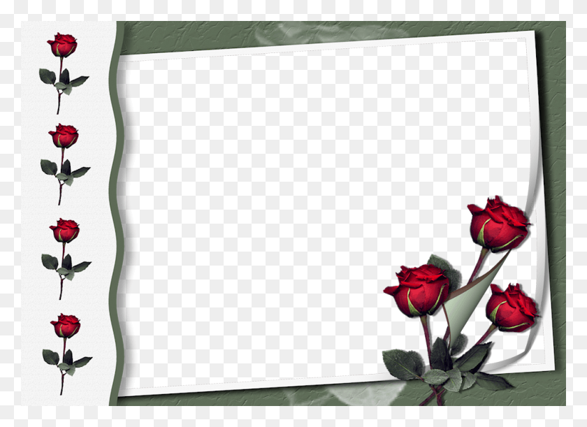1000x707 Molduras Bonitas Rose Frames, Flower, Plant, Blossom HD PNG Download