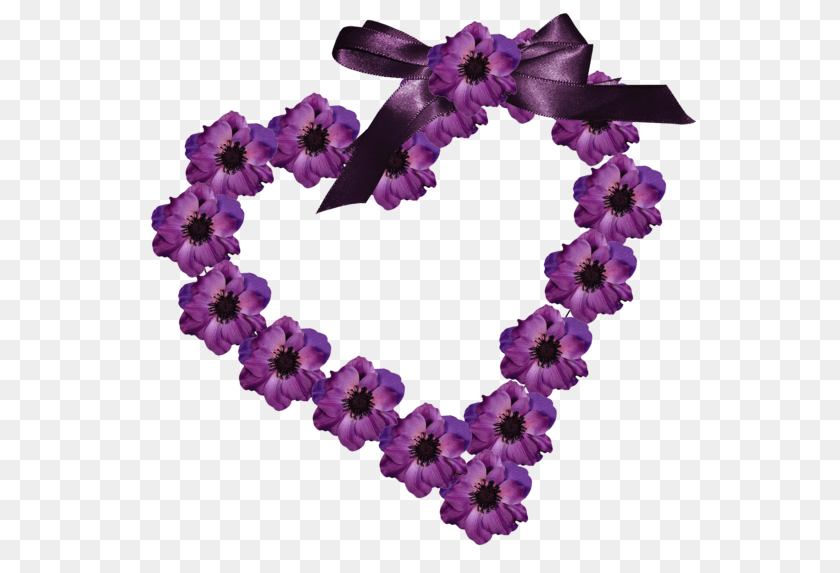 Molduras Em, Accessories, Flower, Flower Arrangement, Ornament Clipart PNG