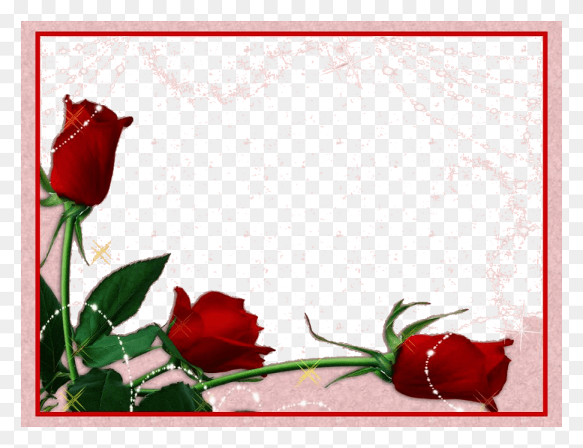 960x720 Molduras Em Salmanimage, Plant, Rose, Flower HD PNG Download