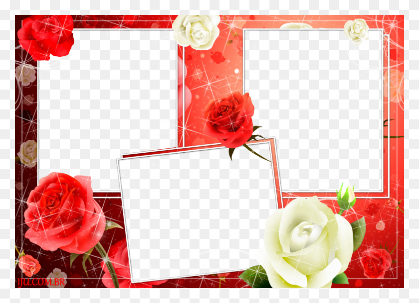 1236x870 Molduras Marcos Para Tres Fotos De Amor, Plant, Rose, Flower Hd Png