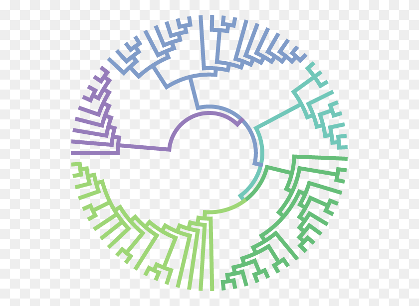 555x555 Molecular Evolution, Machine, Rotor, Coil HD PNG Download