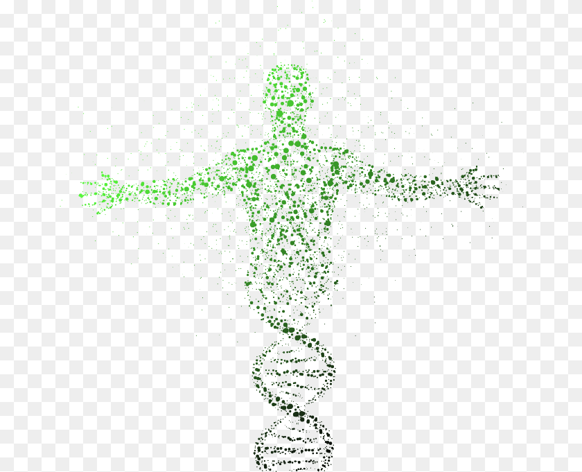 Molecular Structure Of Human Body, Green, Art, Purple Clipart PNG