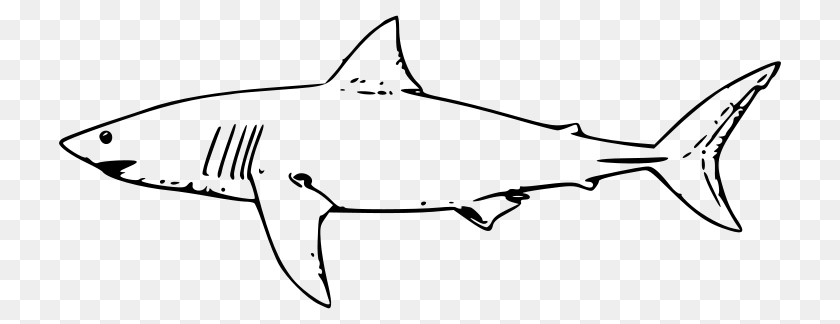 800x324 Molumen White Shark, Gray Sticker PNG