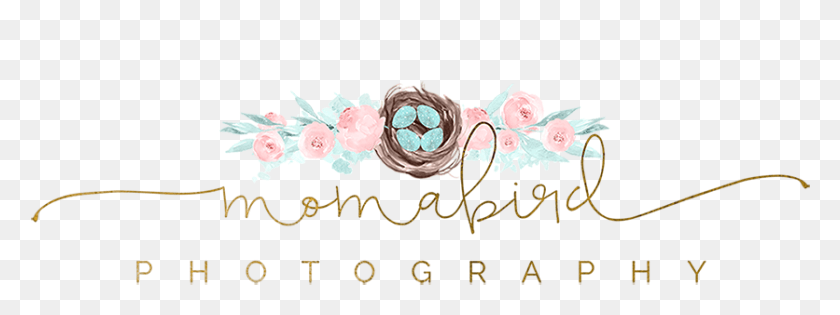 836x274 Momabird Photography, Graphics, Text HD PNG Download