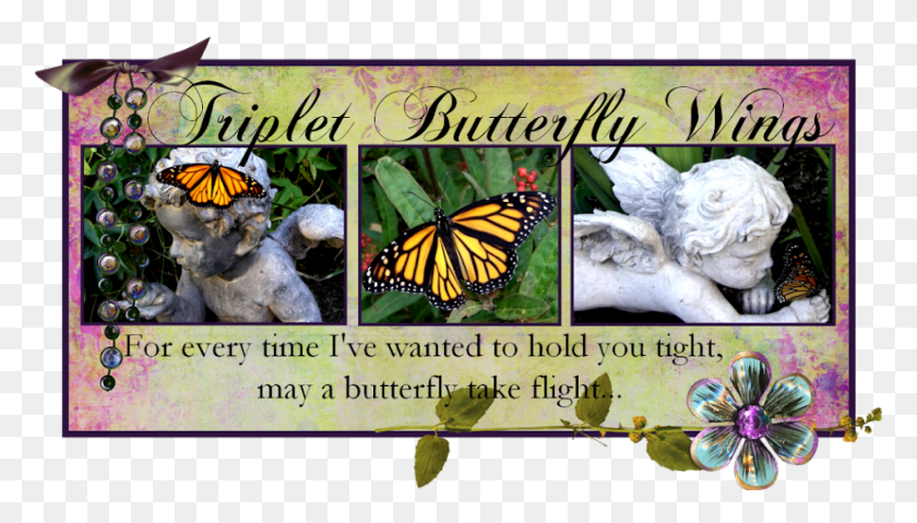 950x511 Monarch Butterfly, Monarch, Butterfly, Insect HD PNG Download
