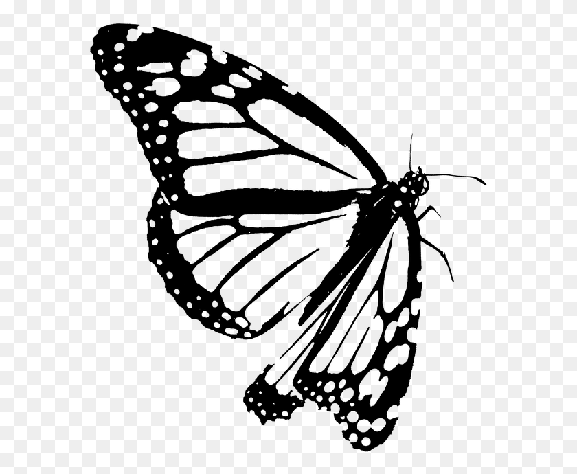 583x630 Monarch Butterfly Clipart Black White Outline Monarch Butterfly, Gray, World Of Warcraft HD PNG Download