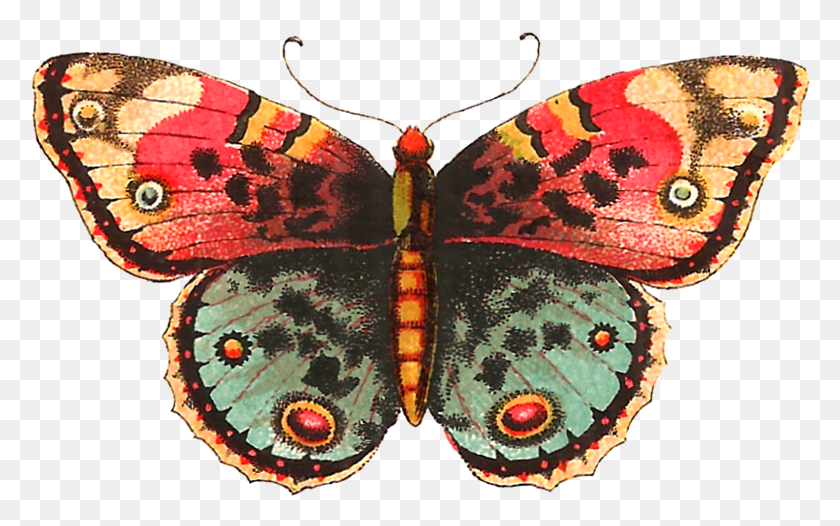 1553x929 Mariposa Monarca Clipart Digital Vintage Mariposa Roja Transparente, Insecto, Invertebrado, Animal Hd Png Descargar