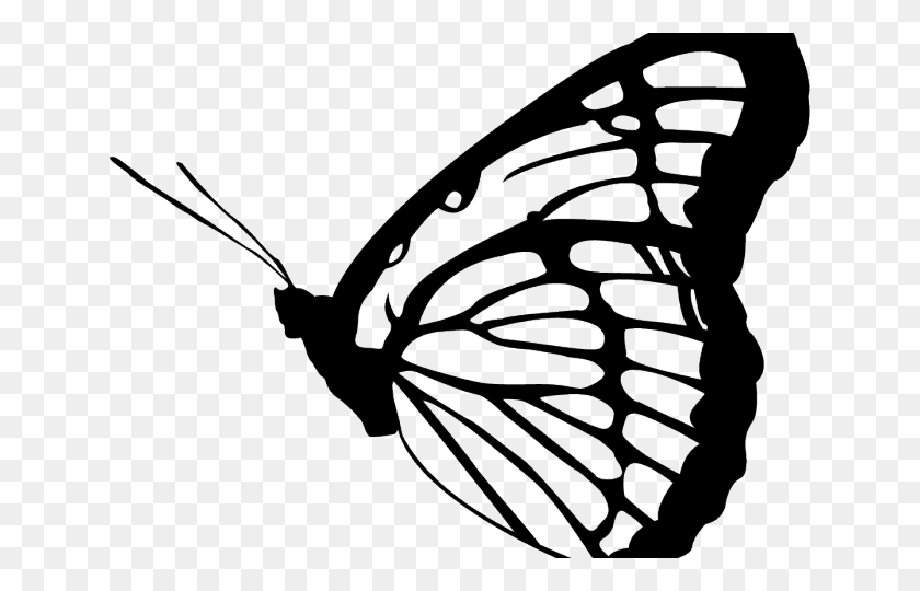 640x480 Бабочка Монарх Клипарт Полная Бабочка Оранжевый И Белый, Насекомое, Беспозвоночное, Животное Png Скачать