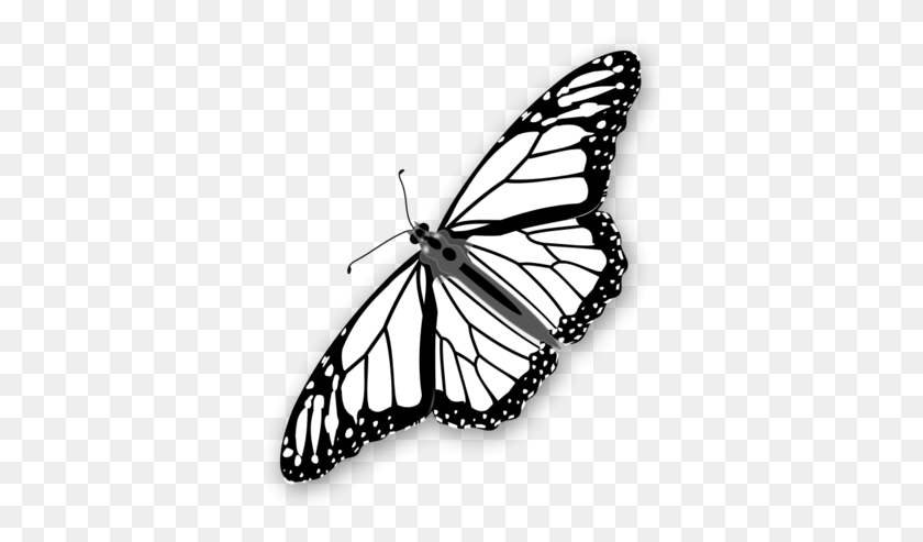 362x433 Monarch Butterfly Clipart Stencil Flying Monarch Butterfly Black And White, Butterfly, Insect, Invertebrate HD PNG Download