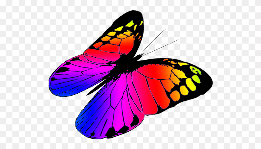 534x419 Monarch Butterfly Clipart Three Colorful Butterflies Flying, Butterfly, Insect, Invertebrate HD PNG Download