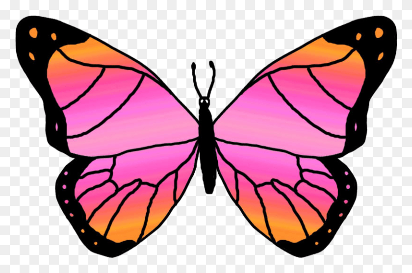 812x518 Бабочка Монарх Клипарт Две Бабочки Картинки, Насекомое, Беспозвоночное, Животное Png Скачать