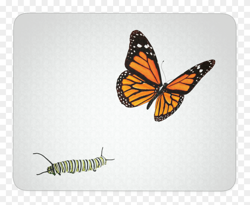 878x710 Бабочка Монарх Деко Коврик Для Мыши Дизайн Татуировки Бабочка 3D, Монарх, Насекомое, Беспозвоночные Hd Png Скачать