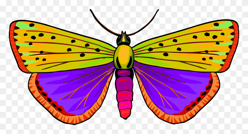 1480x750 Бабочка-Монарх Мотылек Pieridae Кисть Для Бабочек Кисть Для Бабочек С Лапками, Насекомое, Беспозвоночное, Животное Png Скачать