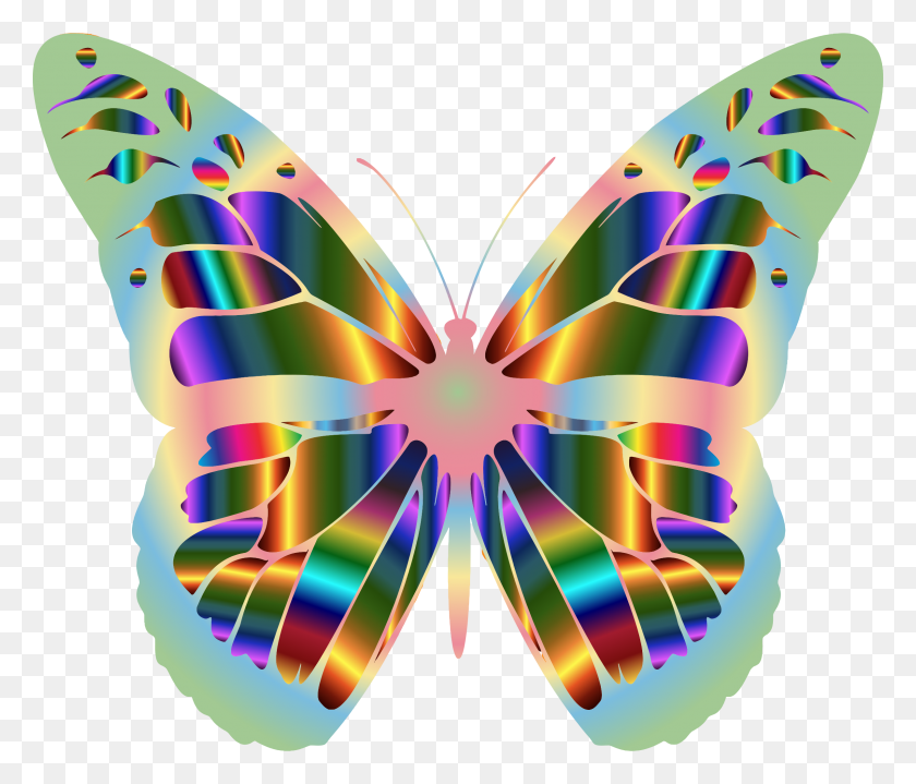 2400x2028 La Mariposa Monarca Png / Dibujo De Contorno De La Mariposa Hd Png