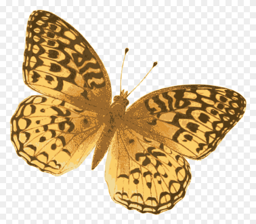 785x679 Mariposa Monarca Pieridae Mariposas De Patas De Cepillo Lavado De Plata Speyeria, Mariposa, Insecto, Invertebrado Hd Png
