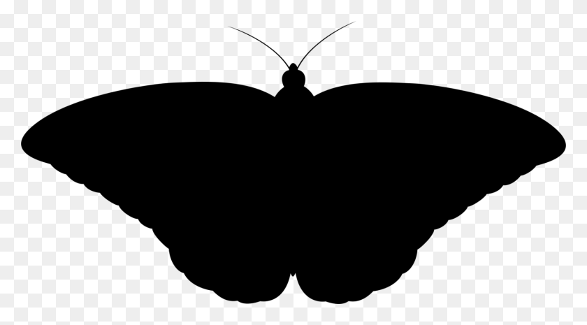 1444x750 Monarch Butterfly Silhouette Insect Drawing Silhouette Moth, Gray, World Of Warcraft HD PNG Download
