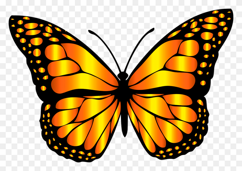 900x619 Monarch Clipart, Insect, Invertebrate, Animal HD PNG Download