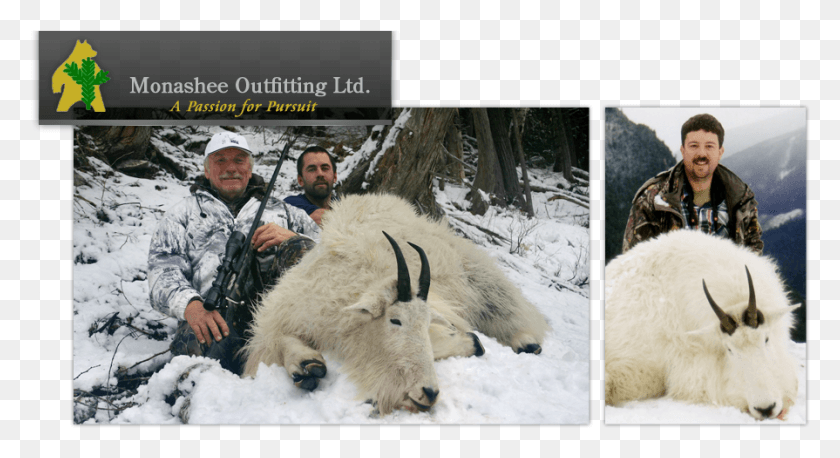 895x457 Monashee Outfitting Ltd Mountain Goat, Person, Human, Mammal HD PNG Download