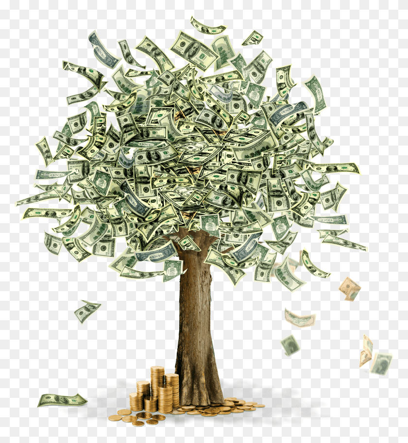 2485x2720 Money Tree Money And Trees, Plant, Chandelier, Lamp Descargar Hd Png