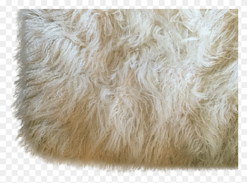1186x858 Mongolian Lambskin Rug In Ivory For Floor Accessories Fur Clothing, Wool HD PNG Download