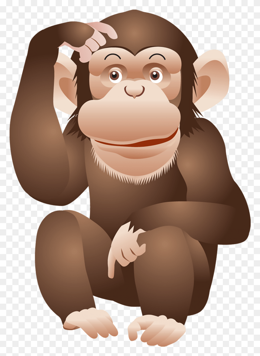 1133x1582 Monkey, Face, Mammal, Animal HD PNG Download