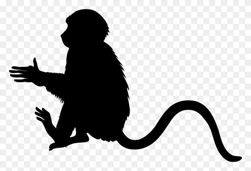 1013x666 Monkey Black Silhouette Ten Obezyani, Person, Human HD PNG Download