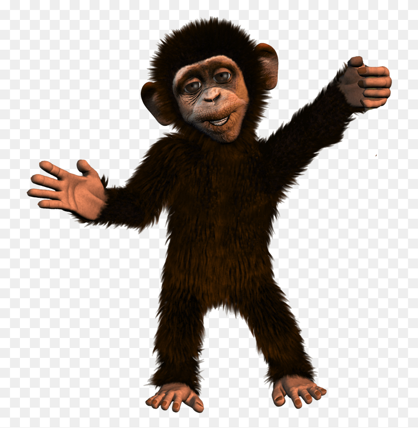 736x801 Monkey Cartoon Chimp, Wildlife, Animal, Mammal HD PNG Download