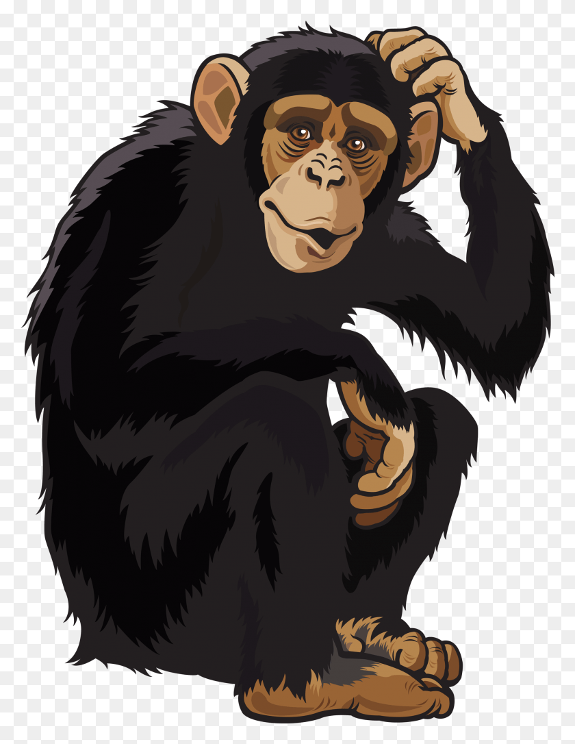 1901x2501 Monkey Clipart Image Monkey, Ape, Wildlife, Mammal HD PNG Download