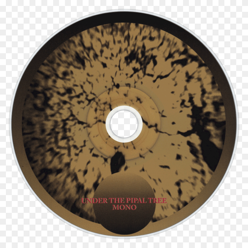 1000x1000 Descargar Png Mono Under The Pipal Tree Cd Disc Image Mano Que Sostiene Un Rayo, Etiqueta, Texto, Disco Hd Png
