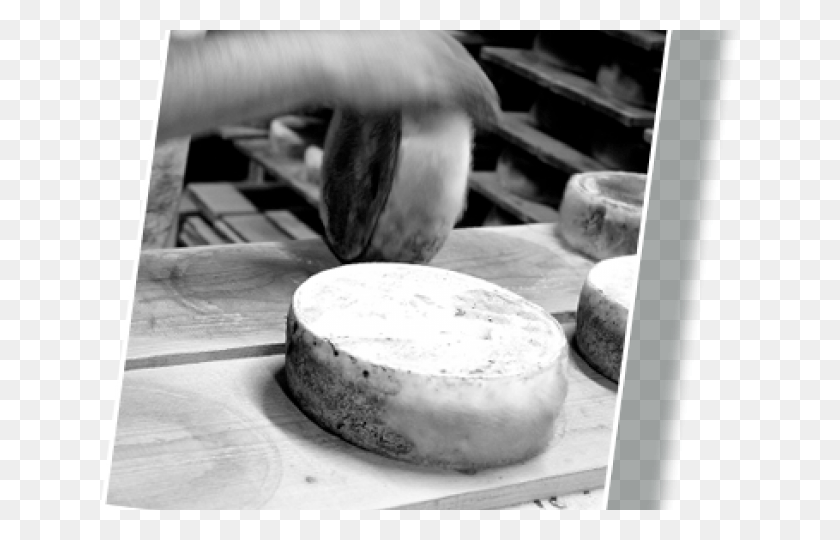 640x480 Monochrome, Brie, Food, Bird HD PNG Download