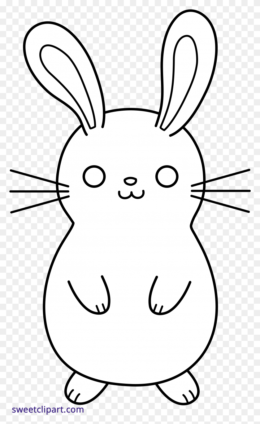 3251x5455 Monochrome Clipart Rabbit Things To Draw Easter Bunny, Mammal, Animal, Rodent HD PNG Download