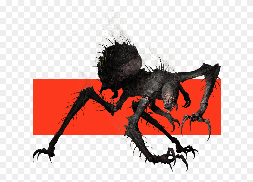 626x545 Monster Evolve Monster Gorgon, Dragón, Araña, Invertebrado Hd Png