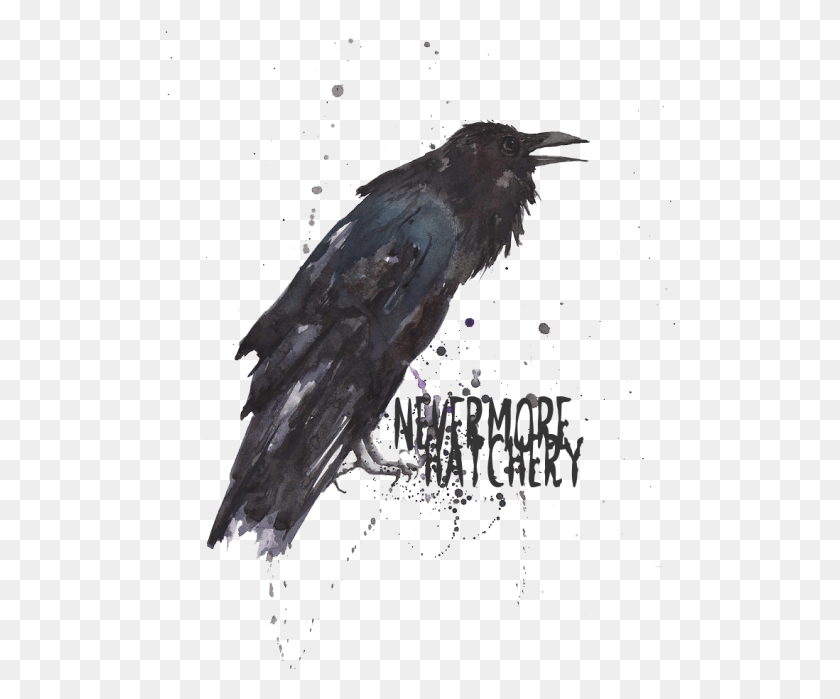 510x639 Monster They Yell Because They Do Not See The Beauty Raven Black Bird Gothic Art, Animal, Beak, Bee Eater HD PNG Download