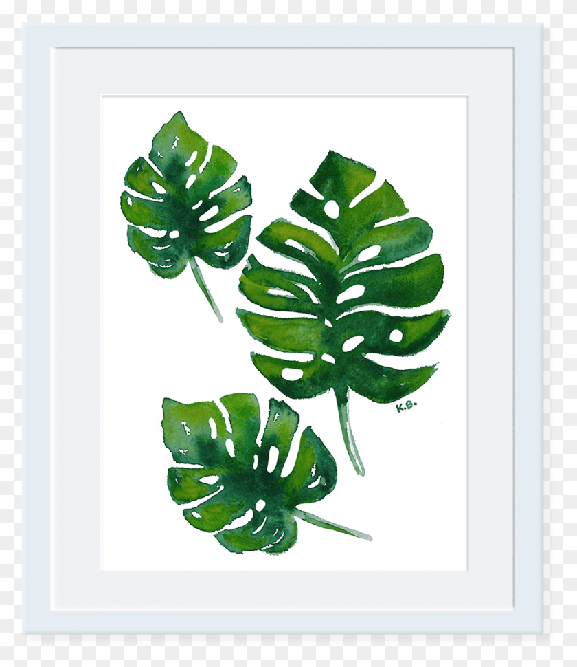 898x1048 Monstera Deliciosa Illustration, Leaf, Plant, Green HD PNG Download