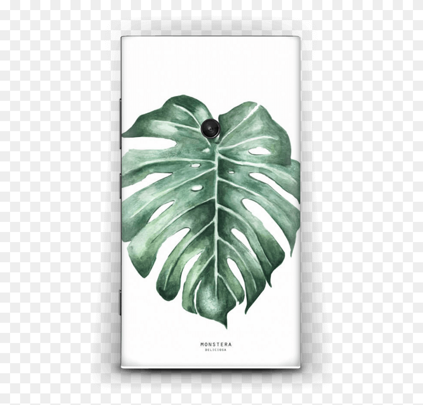 481x743 Monstera Deliciosa Swiss Cheese Plant, Leaf, Veins, Rug HD PNG Download