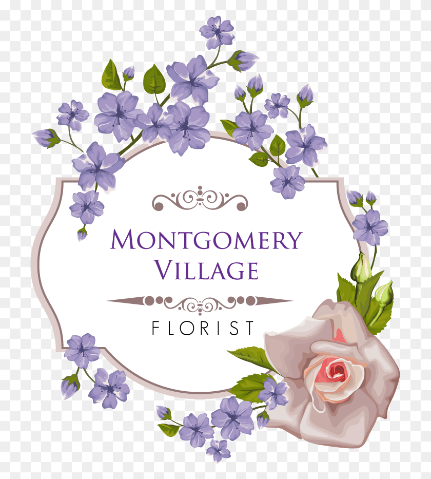 721x873 Montgomery Village Florist Inc Garden Roses, Plant, Flower, Blossom HD PNG Download