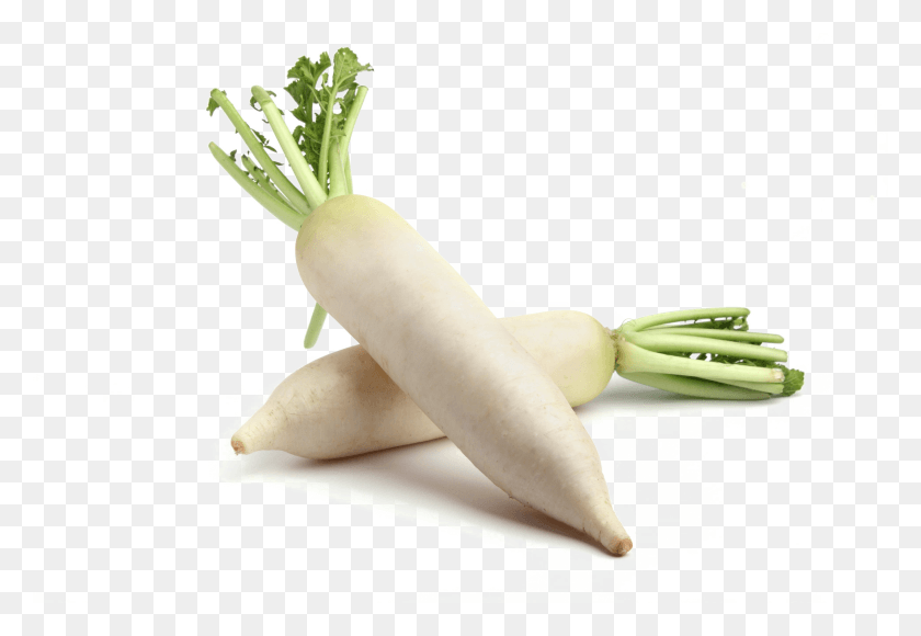 3888x2592 Mooli Photos Vegetable Muli, Plant, Radish, Food HD PNG Download