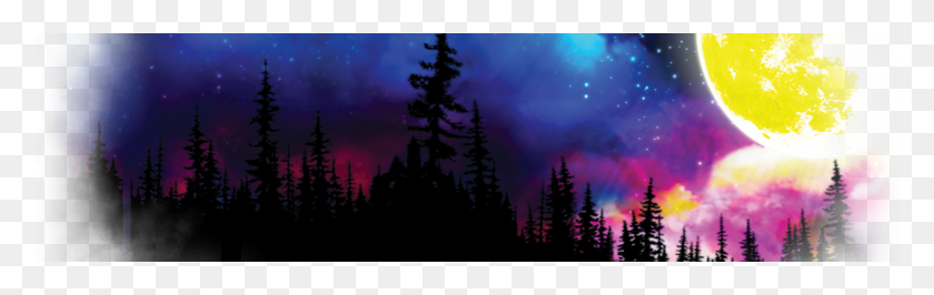 1700x450 Moonlight Owl Background, Nature, Outdoors, Night HD PNG Download