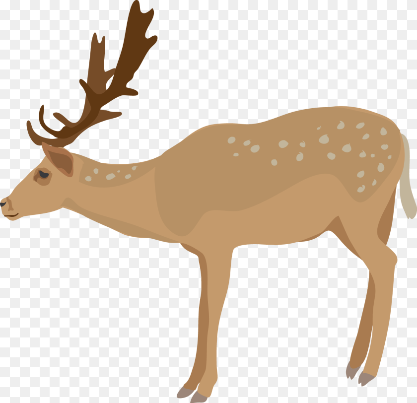 Moose, Person, Antler, Wood PNG