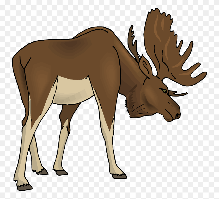 750x705 Moose Cartoon Images Photo Cartoon Moose, Antelope, Wildlife, Mammal HD PNG Download