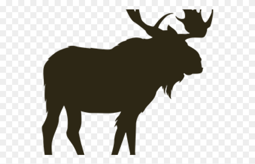 567x481 Moose Clipart Alaska Animal Moose Transparent, Wildlife, Mammal HD PNG Download