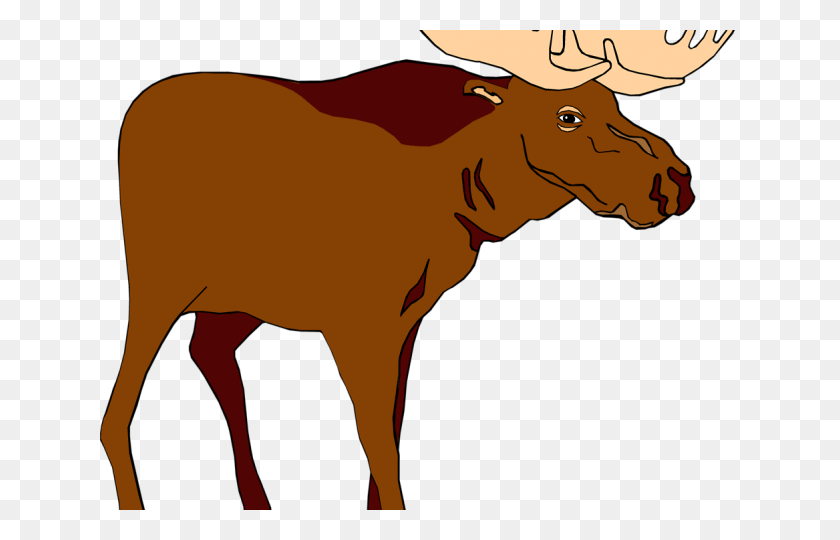 640x480 Moose Clipart Elk Moose, Mammal, Animal, Cow HD PNG Download