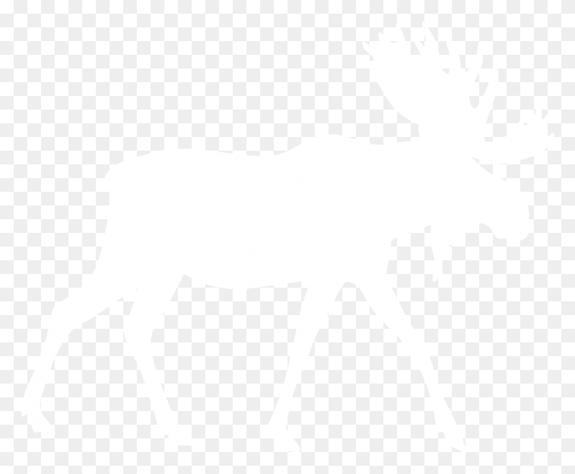 925x750 Moose Elk White Moose, Animal, Mammal, Wildlife HD PNG Download