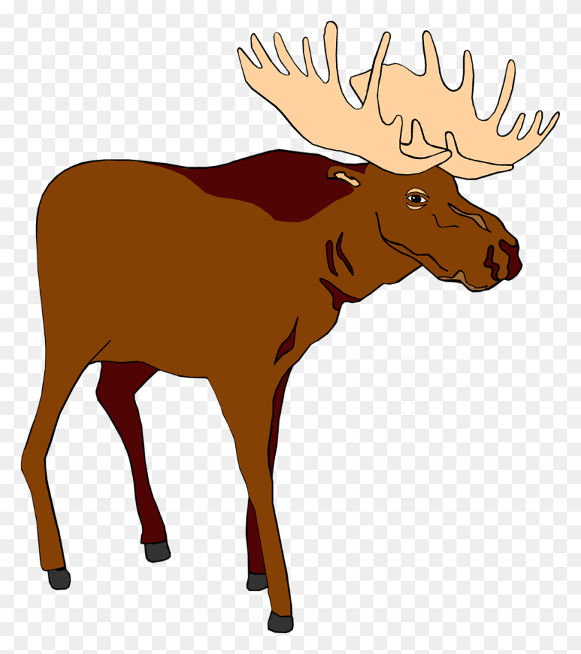 958x1089 Moose Moose Clipart, Mammal, Animal, Wildlife HD PNG Download