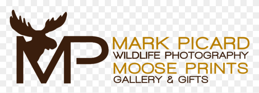892x276 Moose Prints Logo Kettler Management, Word, Text, Alphabet HD PNG Download