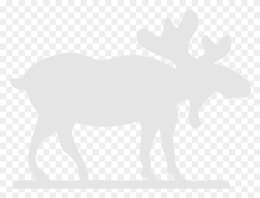 960x712 Moose Stag Antler Elk Wildlife Horned Horn White Moose Black Background, Mammal, Animal, Stencil HD PNG Download