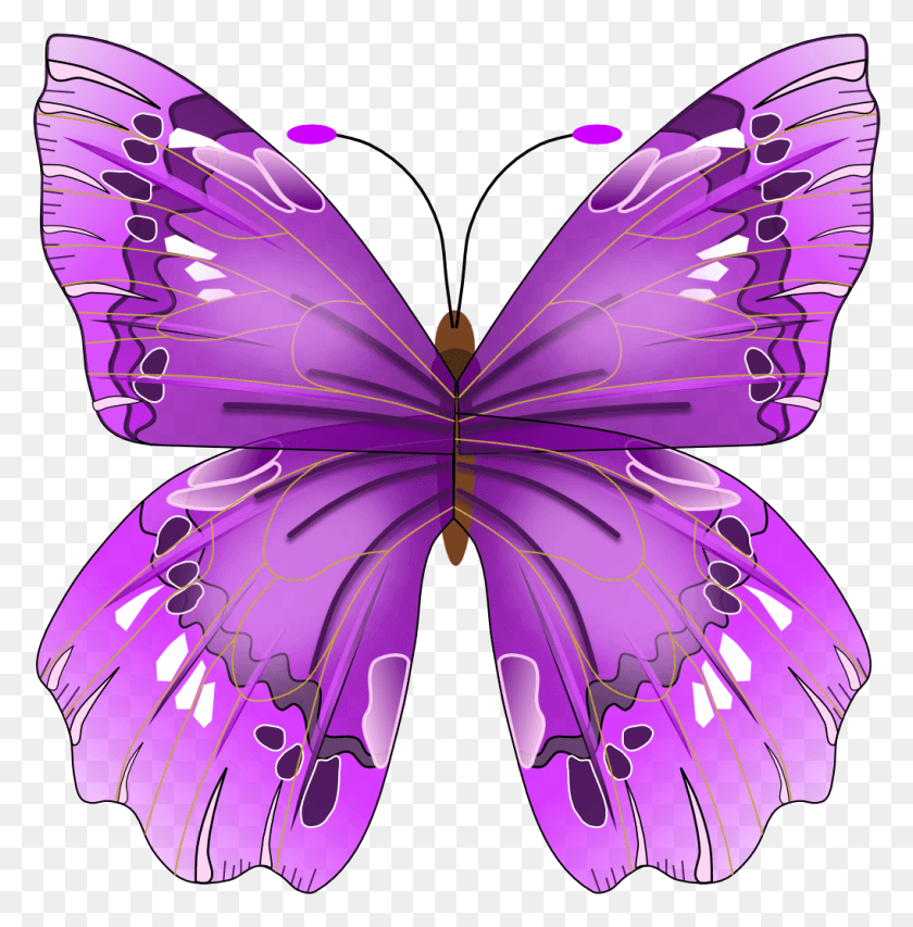 1018x1036 Mor Kelebek Purple Butterfly No Background, Purple, Ornament, Pattern HD PNG Download