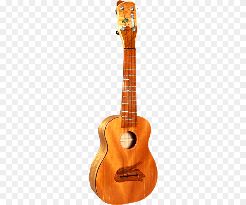 Moray Eel 2 Web Outlined Moray Eel, Bass Guitar, Guitar, Musical Instrument Clipart PNG